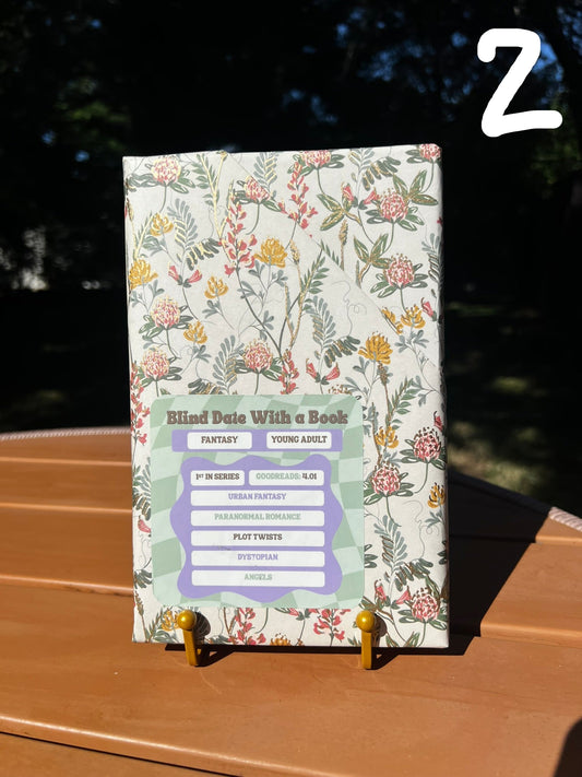 FANTASY - Blind Date With A Book